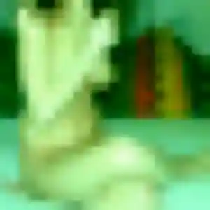 Aurore, 44 ans, dispo pour plan cul à Tiffauges