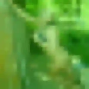 Photo perso de Eugenie, 45 ans à Tinténiac - rencontre coquine