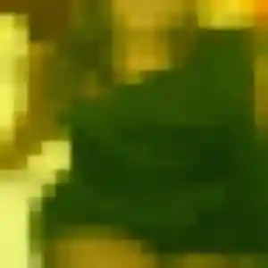 Contacte Julie, 44 ans à Tortequesne gratuitement