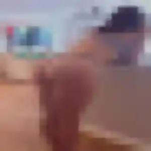 Blanche, fille de 44 ans cherche plan cul à Toulon-sur-Allier