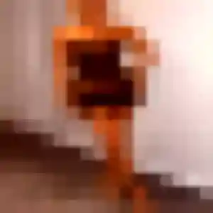 Photo perso de Ximena, 31 ans à Toulouse - plan discret