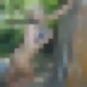 Gabrielle, femme de 31 ans propose plan cul à Tourriers