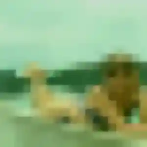 Romina, 36 ans, en ligne à Tours pour une rencontre coquine