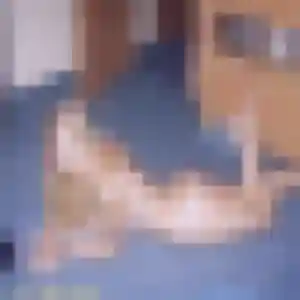 Svetlana, 45 ans, disponible à Tourville-sur-Sienne pour un plan cul