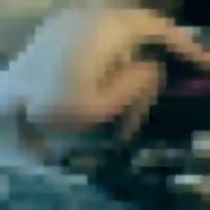 Laurence, femme de 23 ans cherche plan cul à Traînel