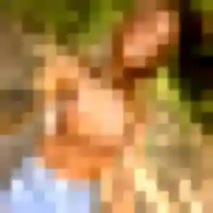 Photo exclusive de Marie-Jose, 45 ans à Trans-sur-Erdre - rencontre sans lendemain