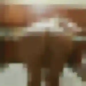 Photo privée de Solange, 32 ans à Traubach-le-Haut - rencontre coquine
