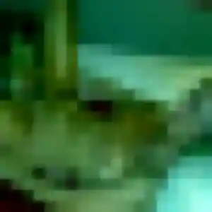 Photo privée de Francine, 45 ans à Trelins - rencontre sans lendemain