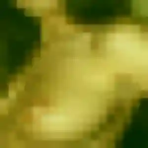 Photo de Fiona à Trie-sur-Baïse (43 ans) - plan cul discret