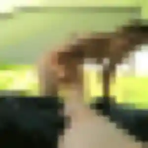 Coralie (27 ans) à Ungersheim cherche une rencontre rapidement
