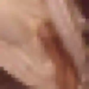 Photo de Gwenaelle à Ussac (26 ans) - plan cul gratuit