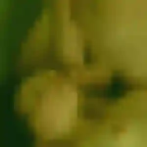 Delia de Vairé, 38 ans - plan cul sans prise de tête