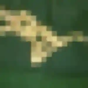 Sexy Amira, 29 ans à Val-de-Dagne - la contacter