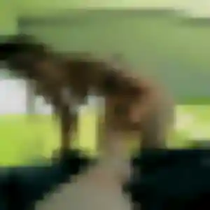 Katia, 45 ans, dispo pour plan cul à Valdallière