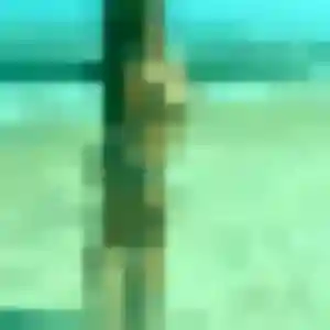 Photo exclusive de Typhaine, 38 ans à Valdivienne - rencontre coquine