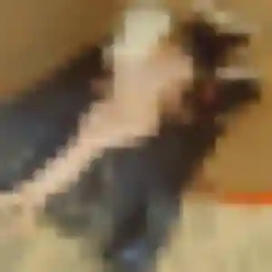 Rebecca, 40 ans, en ligne à Valence pour une rencontre coquine