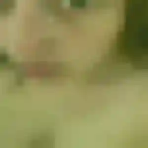 Photo de Apolline à Vallabrègues (27 ans) - plan cul discret
