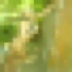 Pierrette (29 ans) à Valliquerville cherche un plan cul ce soir
