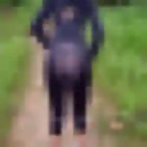 Profil de Karine à Varennes-en-Argonne (37 ans) - plan cul sans inscription