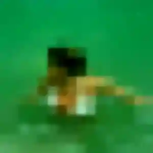 Photo de Eglantine à Varennes-sur-Allier (34 ans) - plan cul gratuit