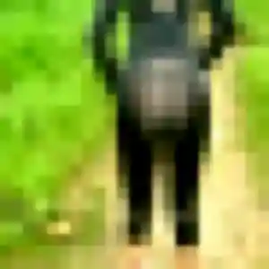 Photo exclusive de Pascale, 36 ans à Vars - rencontre sans lendemain