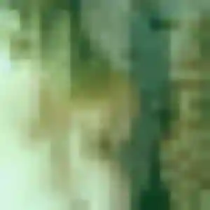 Marie-Helene, 24 ans, dispo pour plan cul à Vaux-sur-Mer