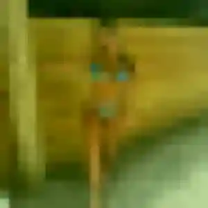 Barbara, fille de 37 ans cherche plan cul à Vayres-sur-Essonne
