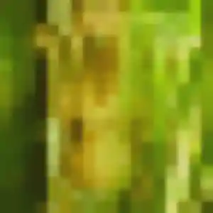 Photo privée de Elvire, 42 ans à Vendargues - rencontre coquine