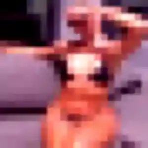 Photo de Vanessa à Vendargues (41 ans) - plan cul sans inscription