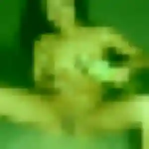 Virginie, 45 ans, dispo pour plan cul à Ver-lès-Chartres