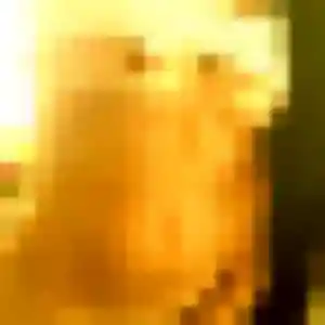 Nelly, 45 ans, disponible à Ver-sur-Launette pour un plan cul