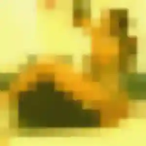 Aisha, 33 ans, disponible à Verneuil-l'Étang pour une rencontre coquine