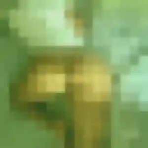 Photo de Salima à Vernou-la-Celle-sur-Seine (41 ans) - plan cul anonyme