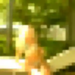 Rencontre Sophie, 33 ans à Vicq-sur-Mer gratuitement