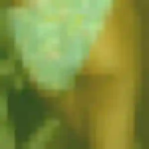 Rencontre Dina, 31 ans à Vienne-en-Val en privé