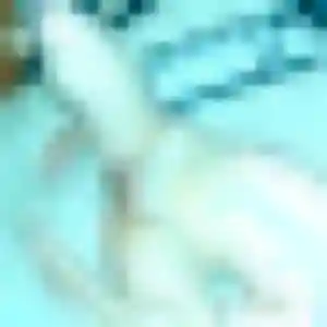 Photo sexy de Flavie, 43 ans à Vieux-Fort - plan discret
