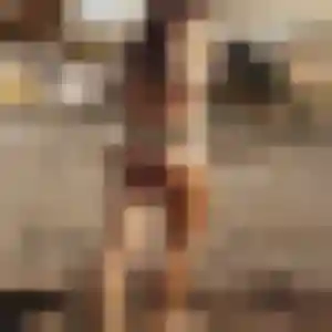 Photo de Emilie à Villaines-sous-Malicorne (39 ans) - plan cul anonyme
