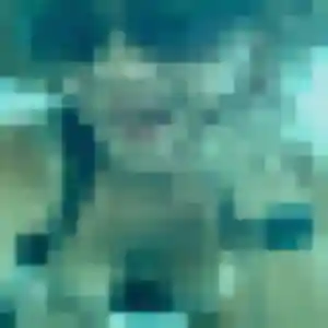 Photo de Sandrine à Villebougis (38 ans) - plan cul gratuit