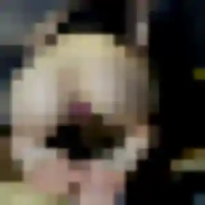 Isabella (39 ans) à Villechétif cherche une rencontre rapidement