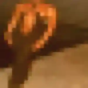 Francine, femme de 37 ans cherche plan cul à Villemaury
