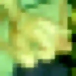 Photo de Nina à Villeneuve-de-Berg (38 ans) - plan cul gratuit