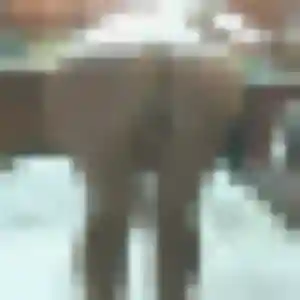 Aurore (38 ans) à Villeneuve-de-la-Raho cherche un plan cul ce soir