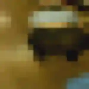 Profil de Noura à Villerbon (41 ans) - plan cul gratuit