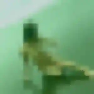 Louna, 28 ans, en ligne à Villers-Bretonneux pour un plan cul