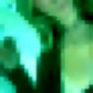 Photo perso de Bernadette, 24 ans à Villié-Morgon - plan discret