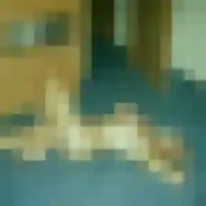 Contacte Emmanuelle, 29 ans à Villié-Morgon en privé