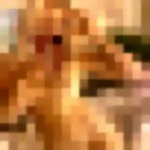 Photo exclusive de Bertrane, 38 ans à Villiers-le-Bâcle - rencontre sans lendemain