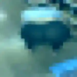 Photo de Hajar à Villons-les-Buissons (39 ans) - plan cul gratuit