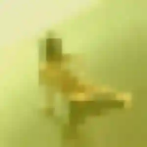 Geneve, femme de 35 ans cherche plan cul à Vincey