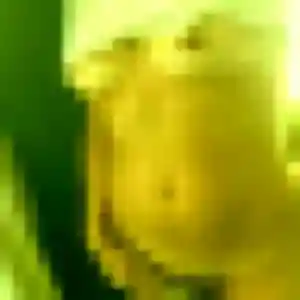 Melodie, 37 ans, cherche un plan cul à Vineuil